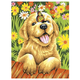 Image for article titled Gifts for the Actively Relaxed Stoner